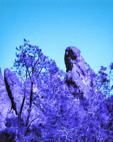 Film Analog GIF by Doctor Popular