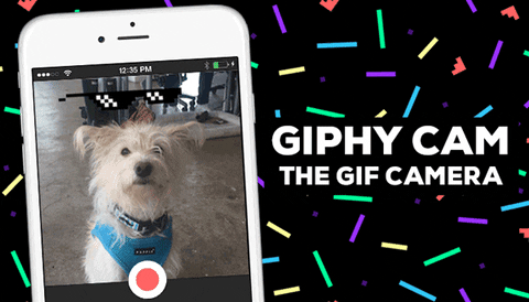 giphy cam iphone