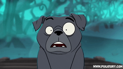 Pugatory Dog Scared Confused Shocked
