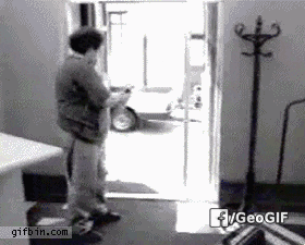 giphy.gif