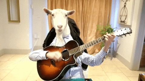 Random Goat goat