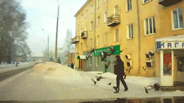giphy.gif