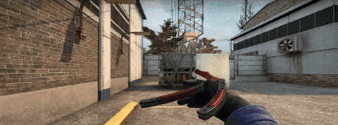 giphy.gif