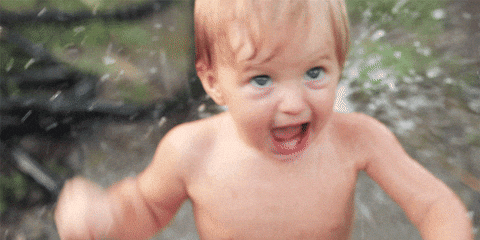 giphy.gif?cid=ecf05e471g1bzlqoh2qeupm8gw8maz6xufg1eeb5ns1ph7kn&rid=giphy.gif&ct=g