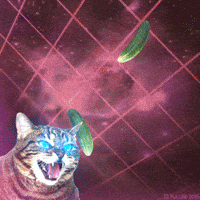 En student-GIF