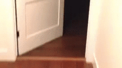 Howling best Gif