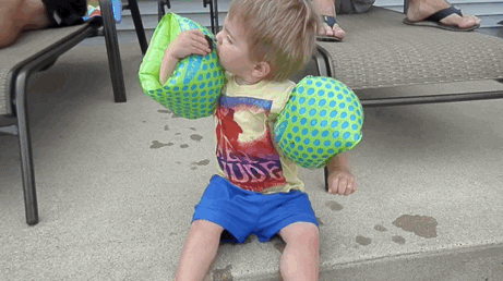 giphy.gif