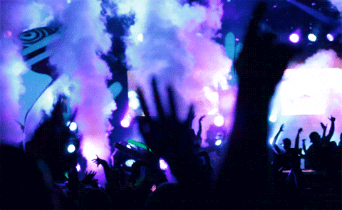 Awesome Concert GIF by theCHIVE - Find & Share on GIPHY
