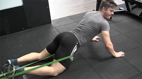 Gym Workout Gif Find Share On Giphy