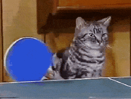 None animated GIF