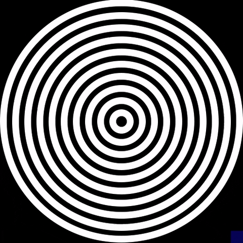 White Pattern Gif | black and white animation gif by the new big poppa e White Pattern Gif | black and white animation gif by the new big poppa e