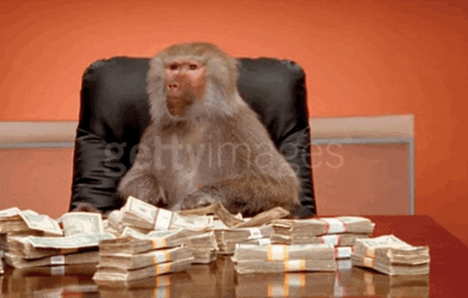 Image result for monkey money gif