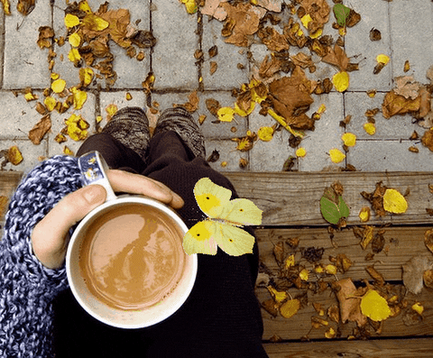 Image result for autumn coffee gif