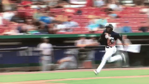 Slide #Safe GIF by Kane County Cougars