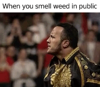 Smell Weed In Public in funny gifs