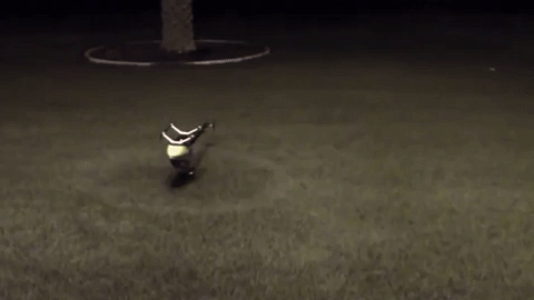 магические вещи, невероятные вещи, вещи наука не в силах объяснить