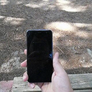 giphy.gif
