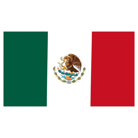 Latinoji mexico flag latina latino