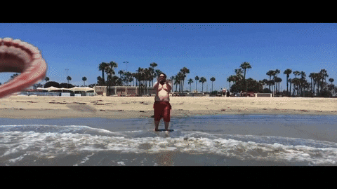 Shark Week GIF by Leroy Patterson