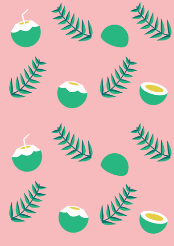 coconut bowl and plant with a light pink background gif 