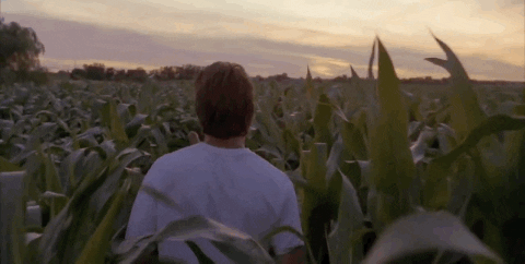 They Will Come Field Of Dreams GIF by Top 100 Movie Quotes of All Time - Find & Share on GIPHY