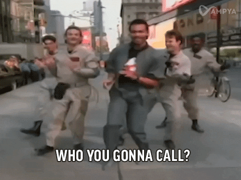 ghost busters who you gonna call gif