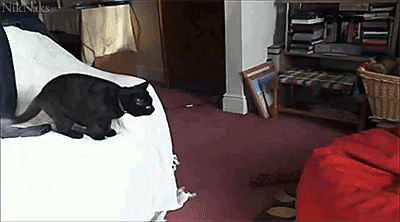 https://media.giphy.com/media/3oEjHYZVqpnwcx2000/giphy.gif