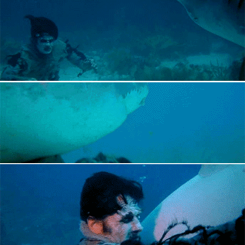 Image result for zombie vs. shark gif