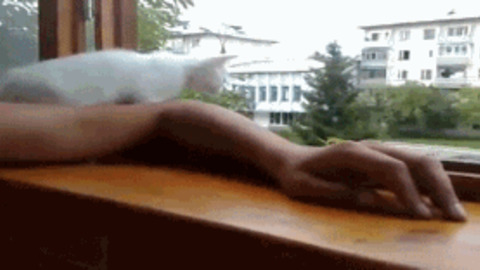 Saviour best Gif