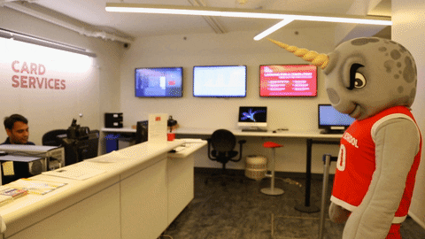 New York College GIF by The New School