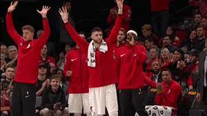 Image result for jusuf nurkic gif