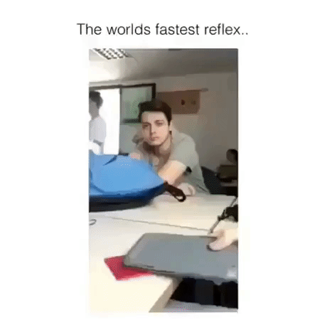 What A Reflex in funny gifs