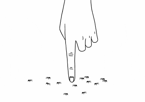 Ants GIF by Laurène Boglio - Find & Share on GIPHY