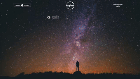 search from root