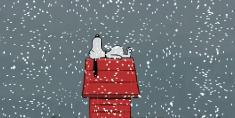 Doghouse GIFs - Find & Share on GIPHY