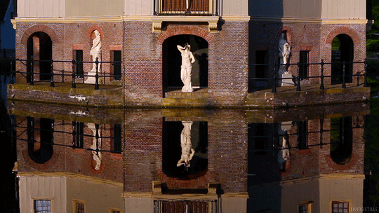 Living Stills water nature cinemagraph perfect loop