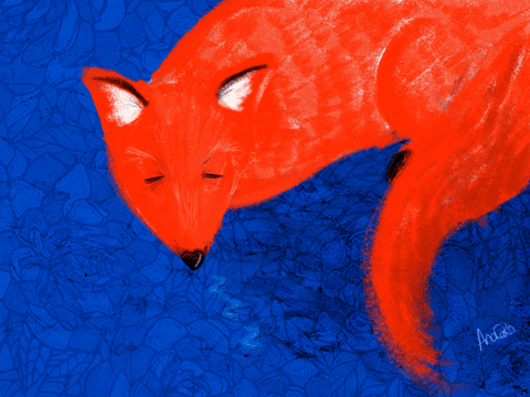 Fox Animation animated GIF