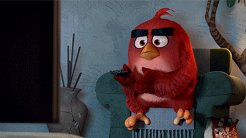 Image result for images of angry birds