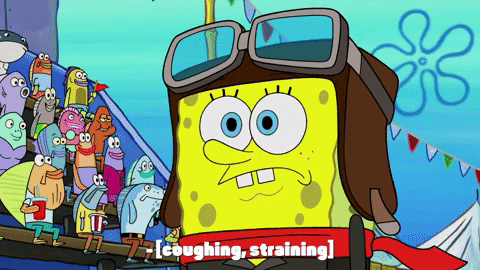 download spongebob season 9 full download spongebob season 9 full