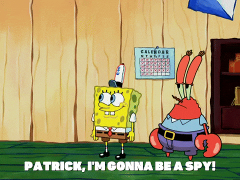 Season 5 GIF by SpongeBob SquarePants - Find & Share on GIPHY
