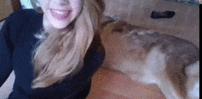 200.gif