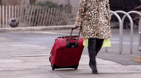 Rolling Suitcase Travelling GIF by Girl Starter - Find & Share on GIPHY