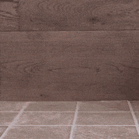 https://media.giphy.com/media/3oKIP9rOG6MptyM0YU/200w.gif
