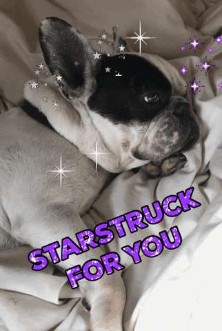 Frenchbulldog GIF by Johanna Kenney