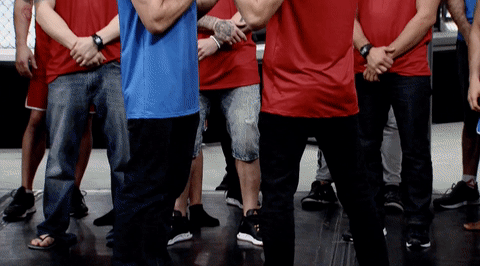 The Ultimate Fighter Ufc GIF - Find & Share on GIPHY