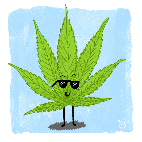 dancing-cannabis-leaf