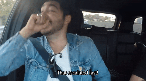 Escalated GIFs - Find & Share on GIPHY