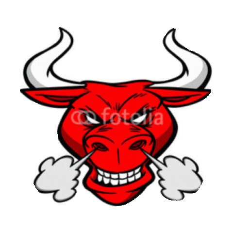 Image result for angry bull gif