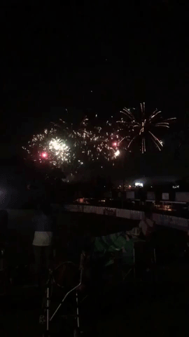 Kccougars GIF by Kane County Cougars