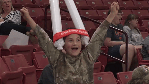 Hockey Fan GIF by Greenville Swamp Rabbits